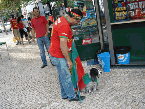 Foram muitas as formas de mostrar a alegria pela vitria de Portugal