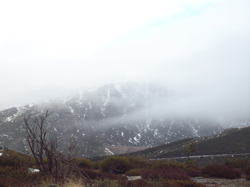 A neve caiu intensamente na Serra da Estrela e o nevoeiro foi uma constante