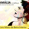 Concerto é composto por fados celebrizados por Amália Rodrigues